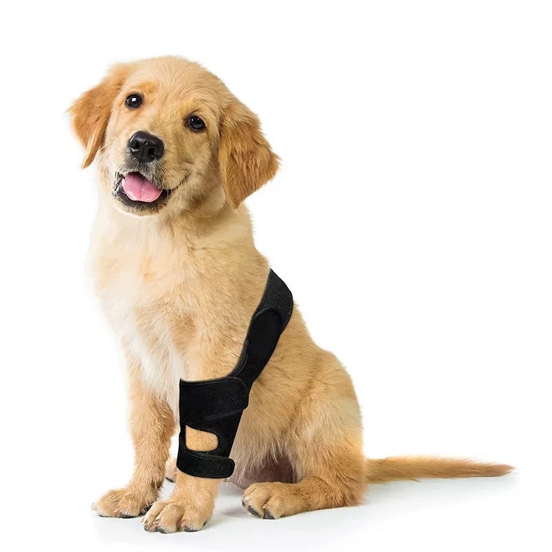 Verstellbare Hunde-Kniebandage – Car Accessories For Elderly Bewertung und Preis