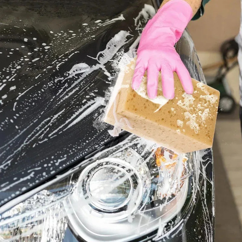 Auto Waschen Schwamm Große Wab – Car Detailing Brush Bewertung und Preis
